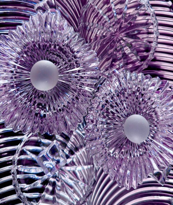 Bloom Purple