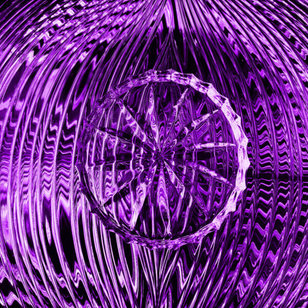 Citrus - Purple