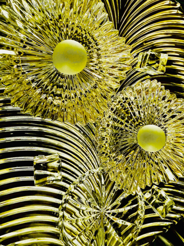 Bloom Yellow